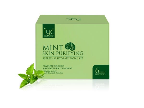 Mint Facial Kit
