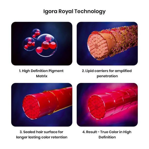 schwarzkopf professional igora royal permanent color creme 5 5 light brown gold 1 15 1 1 1 1 1 1 bee20aed 806f 495e b62b 6430188d25dc